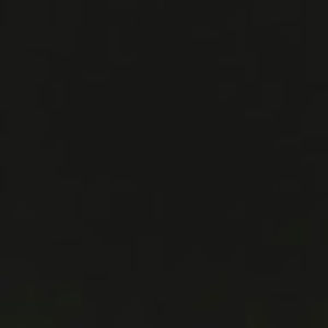 Meet your Posher, Ronald